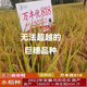 万丰优818巨穗稻稳产杂交水稻种再生稻超抗倒抗病耐热米质好 袁创稻/约460克一袋/ 23000粒*1袋(万丰优818)