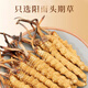 滋品物语 冬虫夏草干虫草高品质精选礼盒装饱满无断草年货节送礼自用 【热销礼盒】整草4条/g 10克 约40条