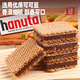 Ferrero Hanuta Chocolate Wafer Biscuits 220g Imported Casual Children's Snacks Afternoon Tea