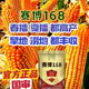 National-approved original red-shaft low-stem stable-yielding corn seeds wholesale, stable yield, drought-resistant, disease-resistant, lodging resistance, north and south, national-approved Saibo 168 4400 grains, one acre of quality, imported high-tech seed coating agent