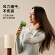 Leifen Mini high-speed hair dryer, quick-drying household children's hair dryer, portable negative ion hair dryer, essential for traveling, birthday gift, national subsidy, matcha green