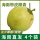 Xirou Hainan Coconut Green Coconut with Skin Green Coconut Fresh Coconut Water Coconut Juice Fruit Healthy Drink for Pregnant Women Freshly Picked Green Coconut with Skin 4 Pack