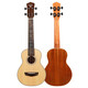 Bullfighter Bullfighter Ukulele 23 pouces Entrée universelle pour les hommes, les femmes et les enfants débutants Small Guitar Plavin Uklili Musical Instrument 23 Jade Rabbit