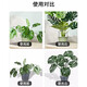 
Iron flower stand plant support semicircular crab claw orchid hydrangea rose green plant vine plant flower stand fixed leaf protection 30cmX50cm (2 pieces)