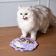 GiGwi pet licking pad puppy cat slow food bowl anti-choking enrichment hidden food educational toy small dog licking plate