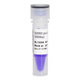 BIOSHARP D2000plusDNA Marker molecular weight standard (100-5000bp) BL1329A 50T