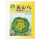 Yellow cabbage seeds, cold and wet-resistant, field garden planting, chrysanthemum heart cream, yellow cabbage vegetable seeds, standard, newly arrived, 2 packs of 2240 capsules
