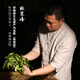 山国工夫茶乌龙茶 安溪铁观音浓香型蜜兰香2025新茶250g罐装 茶叶送礼自己喝