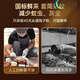 北京同仁堂破壁灵芝孢子粉礼盒装官方中老年过年送礼精选 1盒装共90袋