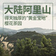 修哲组合茶叶金奖博物馆台湾高山冻顶金萱四种口味32g无农残可冷泡