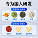 北京同仁堂天麻杜仲叶平卧菊三七通络片天麻三七通络片中老年关节疼痛养护 三瓶【周期装】 官方店京自旗舰營東