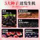 Tongrentang Beijing Tongrentang Flax Seed Fig Tea Black Wolfberry Mulberry Progesterone Female Health Care Water Tea Bag 100g