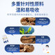 Beijing Tongren Tianma SANQI Tongluo Tabletas Gastrodia Eucommia Ulmoides Hoja acostada sobre el jugoso crisantemo Danqi Tongluo Tabletas Angelica cintura y dolor de rodilla, 480 tabletas siempre se preparan (ambas fortalecen el cuerpo y se preocupan por la salud)