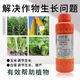 Guoguang 8% amine ethyl coloring, growth promoter, root production, cell division, flowering, fruit resistance, cold and drought resistance growth regulator 200ml*5 bottles