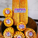 
Original Xinruipu 826 corn seeds drought resistance and stable yield rare value stick newly approved Wu Ziduo anti-root system 5500 capsules/bag