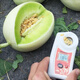 Xiangbin Jade Mushroom Melon Seed Seeds White Skin Green Flesh Super Sweet Ice Cream Xiangyugu Hami Melon Seeds Early Maturing Authentic Four Seasons Jade Mushroom Melon Seeds 10 Original