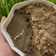 Shouhe lotus pond mud bowl lotus soil special nutrient soil for hydroponic plants Weifeng lotus pond mud 800g