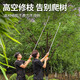 DELIXI ELECTRIC high-branch shears, high-altitude pruning shears, telescopic poles, stainless steel pruning high-branch fruit trees, special scissors for pruning branches, 1.8-3 meters upgraded telescopic saw, pruning and plucking, three-purpose +