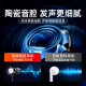 铂典（POLVCDG） type-c耳机有线入耳式游戏耳机降噪睡眠运动适用于小米vivo华为OPPO 陶瓷耳机【Type-C极光黑】