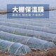 Runhuanian white transparent agricultural thickened small shed special film vegetable field insulation film winter 4 meters wide 4 wires thick agricultural small shed film 10 meters long