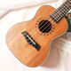 
Ibanez ukulele 21 inch 23 inch 26 inch beginners entry-level four-string small guitar colorful ukulele instrument 21 inch ukulele full basswood black mono + defense 21 inch