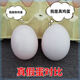 遥绾惜假鸡蛋 母鸡引蛋仿真鸡蛋鸭蛋儿童过家家幼儿园绘画DIY玩具鸡蛋壳 5个塑料空心仿真鸡蛋