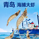 Fishing Travel Notes Qingdao Prawns Net 3 Jin Jin is equal to 0.5 kg 75-90 salt-frozen white shrimps, base shrimps, salt-frozen fresh shrimps