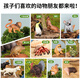 百乐森儿童仿真动物模型早教生日礼盒玩具农场系宝宝启蒙认知动物园18件