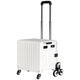 Kezhitu Cartro de compra de plegado pequeño Kezhitu Cartero de compras plegable Plegado por carro Express Cart carro de tranvía de luz portátil [L3881] Modelo de gancho Medium (30L) [Otros cálidos otros