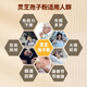 Huangshan Yunle Breaking Wall Ganoderma lucidum spore powder enhances immunity nutritional products for middle-aged and elderly people to explore spore powder
