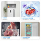 Meiling (MeiLing) Freezer 172 liters household small ultra-thin air-cooled frost-free large frozen pure flavor vertical freezer first-class energy efficiency can be quickly frozen large capacity subsidized ice bar small refrigerator electric freezer BD-172WECX-white 172L