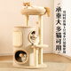 Huayuan Pet Tools (hoopet) cat climbing frame for small household, does not occupy a tree hole, all-in-one cat nest, versatile for all seasons, multi-layer double-layer platform sisal bucket, cat scratching bucket combination climbing frame + blanket*2