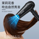 Yongri (yongri) household hair dryer 2100W professional high-power floral dormitory family high wind constant temperature hair dryer national subsidy Mother's Day gift