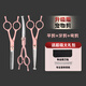 YWZR round-head pet grooming scissors for cats and dogs, special scissors for straight scissors, curved scissors, shaving and trimming scissors tool set, flat scissors + curved scissors + dental scissors + steel comb + leather bag, pink