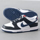 Nike (Nike) Frauen lässige Schuhe 25 Herbst neue Sportschuhe Dunk Low Top Polishing Leichte bequeme trendige vielseitige Schuhe HJ9202-001 36