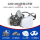 
3M gas mask Anti-toxic gas chemical spray paint pesticide organic gas protective mask dustproof mask mask [6200 spray paint protection seven-piece set] 6200+6001