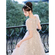 Zhufan high school student adult dress female champagne color evening dress light luxury niche high-end 2025 new host art test style A mid-length XS
