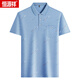 Hengyuanxiang (HYX) middle-aged men's lapel short-sleeved T-shirt daddy suit summer thin polo shirt middle-aged and elderly ice silk half-sleeved men old man T ice silk-9851 gray real pocket M 48/165
