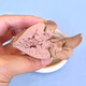 Duoduoduomeng Steamed Rabbit Liver Pet Snacks Golden Retriever Teddy Nutritional and Healthy Dog Mix Rice Wet Food Pack 0 Salt 0 Lake #Steamed Rabbit Liver 20 bags 40g