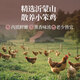 Zhiche Select Shanxi Specialty Xinghuatang fait secrètement des plats cuits poulet fumé entier 680g Sac ouvert aliment instantanément Fête des pères délicieux cadeau de livraison de nourriture