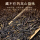 Dashan Yunrun [Phoenix Single Cong] Chaozhou Single Cong Dick-Gira-Entenscheiße duftender Oolong-Tee Selbst trinkende Geschenk, einbackt 50G