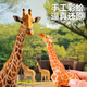 Carl Baby Baby Animal Model Children's Simulation Toy Large Bite Wildlife Collection Boys and Girls Birthday Gifts