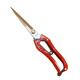Manuel vétérinaire personnalisé Bovins Ciseaux de crinière Horse Coiffures Coiffures Clip Crisp Crish Poulet Os Cisqueur de laine Cisseurs de printemps MANUEL LOTH LB 9902 /