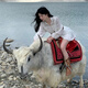 
Jincheng French white long-sleeved dress for women early spring 2025 new small Northwest Xinjiang travel and vacation skirt white S547W M [45/55kg]