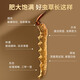 Lei yunshang [offiziell] Cordyceps sinensis High-End Cordyceps Geschenkbox Tonics für Älteste Geschenke für Gesundheit und High-End-Geschenke für Menschen [Cordyceps respektieren die älter