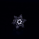 L'ancien Phoenix Gold Store Men's Brooch Costume Brooch Plated Platinum Navigator Polaris Gold Silver Retro Collar Silver Platinum Polaris Brooch + Couvercle de bouffée