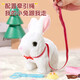 Condira Family Children's House Playing Bunny Doll Toys 3-6 Years Old Girl's Birthday Gift Simulation Animals