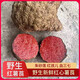 Guangxi Wild Potato, Ruffian, Zinnober, Lotus, Blut, Panax Notoginseng, Red Medicine, Red Boy gefärbte Stoffkartoffeln, frische chinesische medizinische Materialien mit Spezialgrößen 5jin [Jin entspricht 0,5 kg]