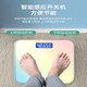 唯尚【已接入米家APP】电子秤体重秤体脂秤宿舍家用减肥高精度充电体重秤减肥神器 海盐蓝-冠军推荐 米家智联体脂秤（充电款）