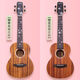 Test Brand 09061Uear Sakura Ukulele Veneer 23 débutants uklili Little guitare débutants hommes et femmes voyage